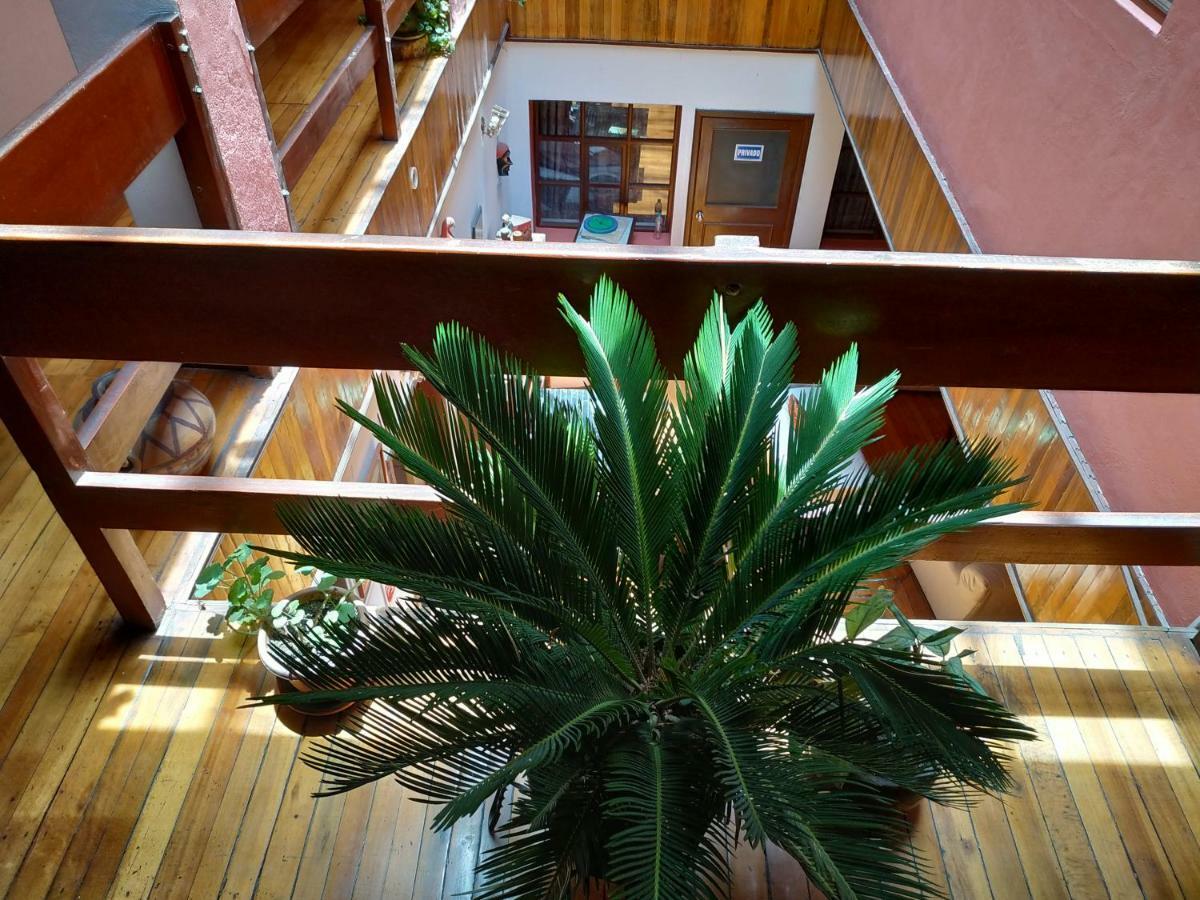 Aleida'S Hostal Puembo Dış mekan fotoğraf